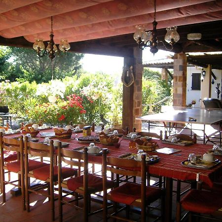 Mas Aurelia B&B Frejus Ngoại thất bức ảnh