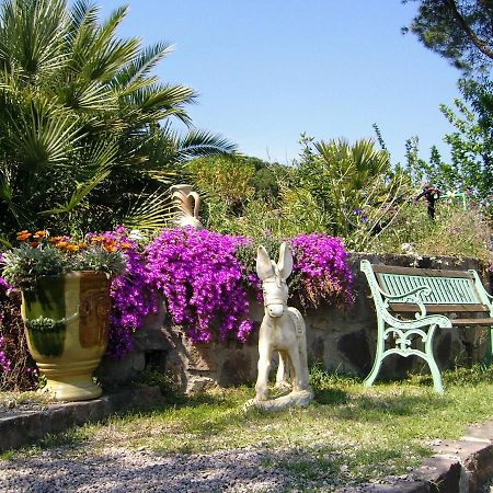 Mas Aurelia B&B Frejus Ngoại thất bức ảnh