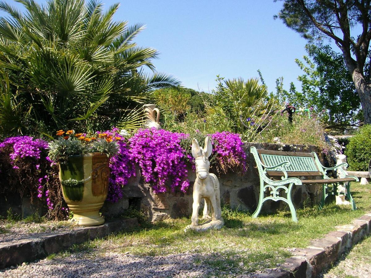 Mas Aurelia B&B Frejus Ngoại thất bức ảnh